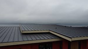 Best Steel Roofing  in Fuquay Varina, NC